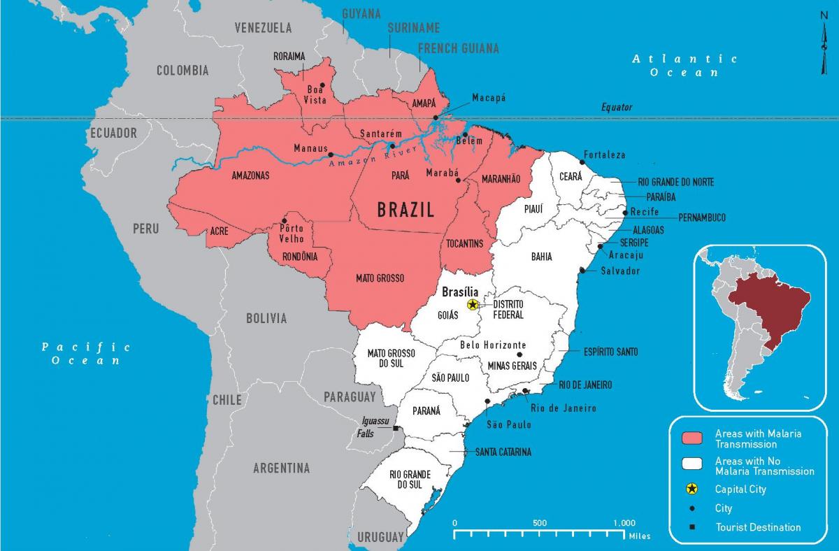 la malaria la mappa del Brasile