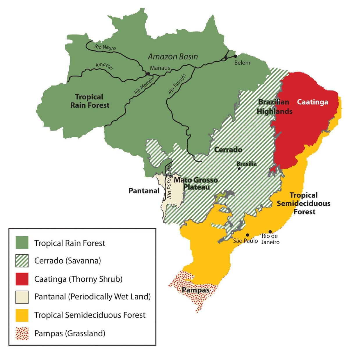 mappa di Brasile vegetazione