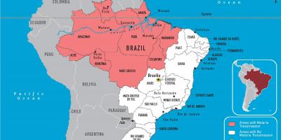 La Malaria la mappa del Brasile