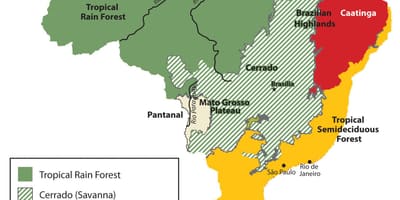 Mappa di Brasile vegetazione