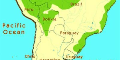 La foresta pluviale in Brasile mappa